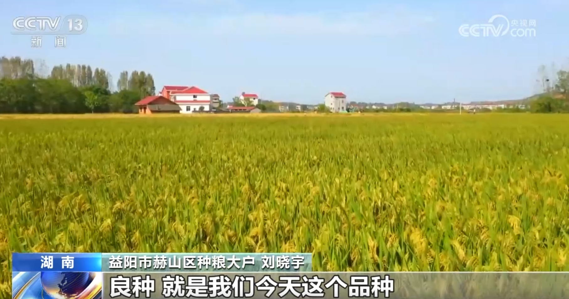 粮食主产区因地制宜探索新“稻”路 广袤田野上绘就好“丰”景