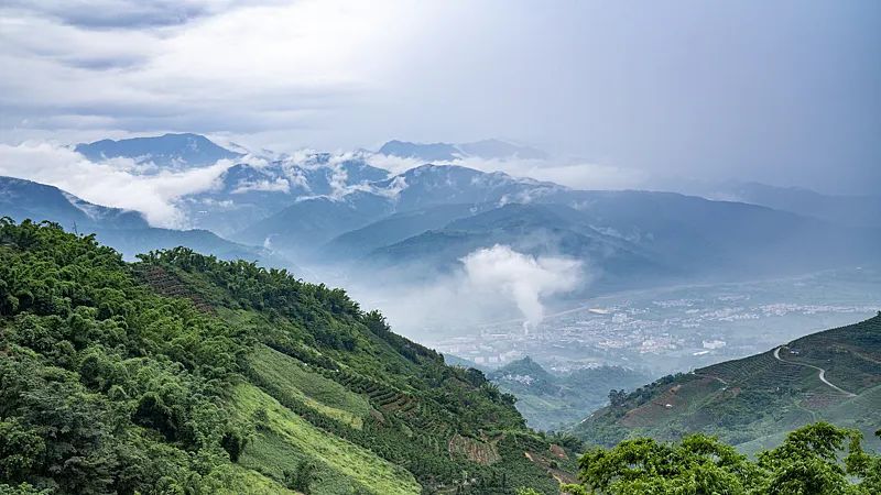 突然“爆红”的哀牢山是什么山?这些登山安全须知请记好! 突然“爆红”的哀牢山是什么山?这些登山安全须知请记好!