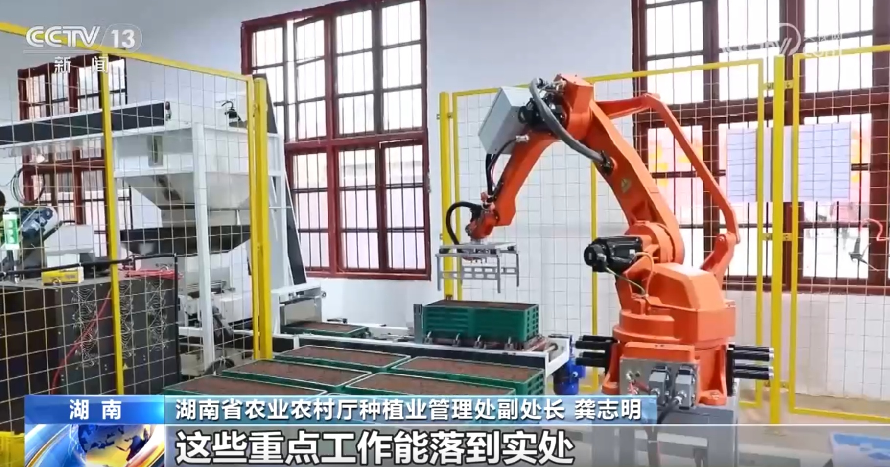 粮食主产区因地制宜探索新“稻”路 广袤田野上绘就好“丰”景