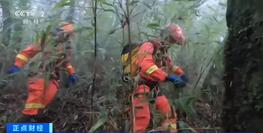 记者探访，突遇浓雾！突然爆红的哀牢山，究竟什么样？