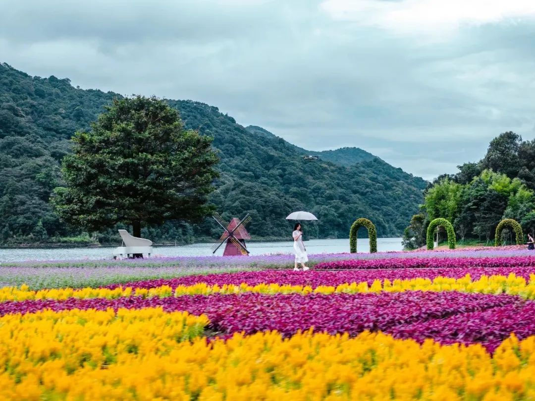 注意！广州这个景点部分区域不开放！