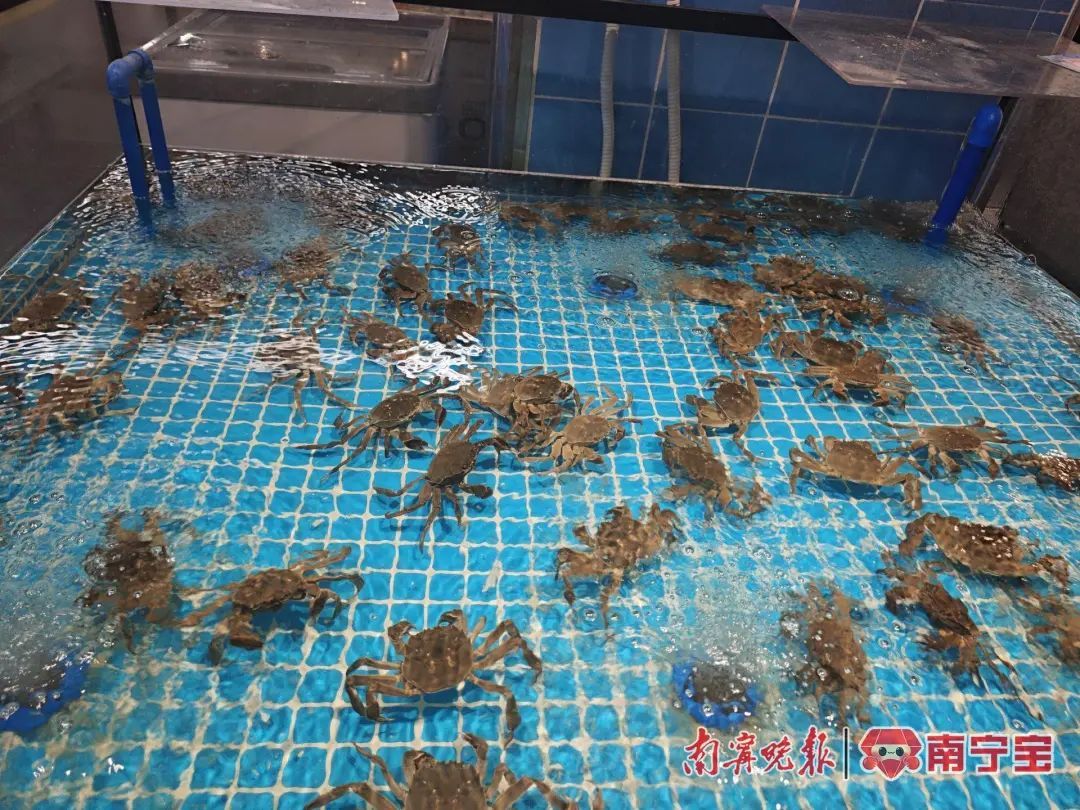 价格回落！很多南宁人爱吃，正大量上市