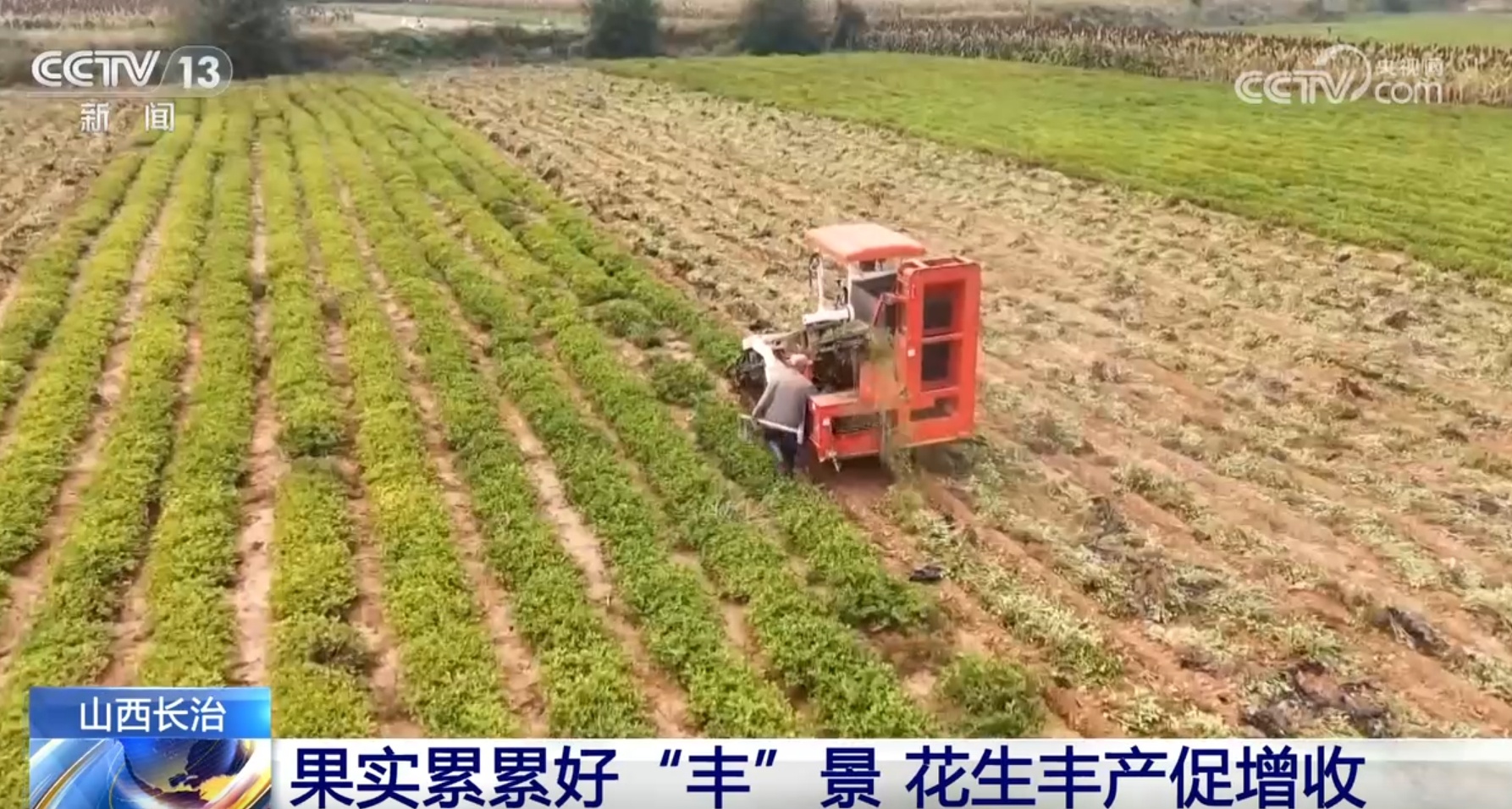 金秋时节“果实累累”映红农民笑颜 绿水青山间奏响丰收“致富曲”