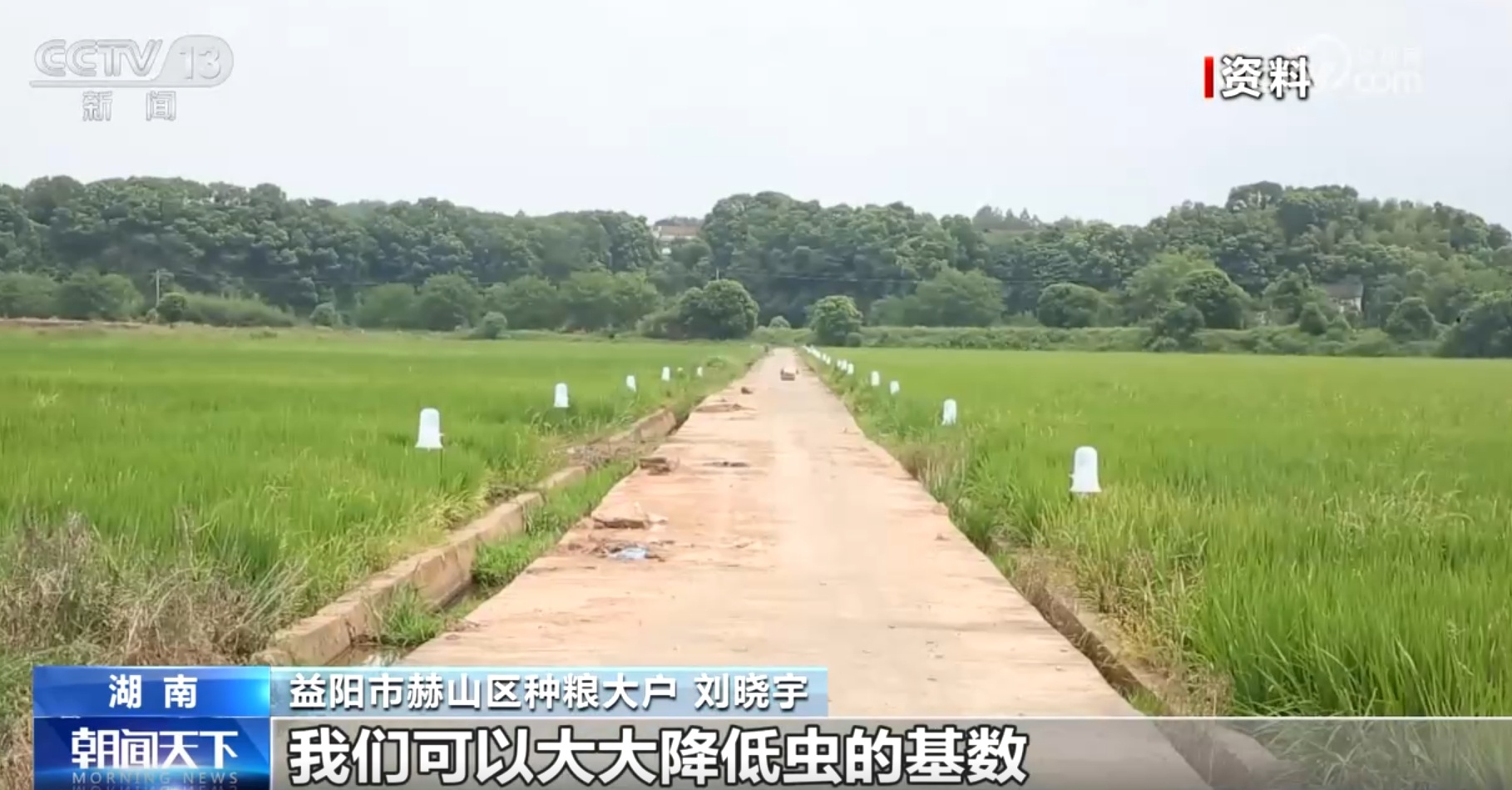 粮食主产区因地制宜探索新“稻”路 广袤田野上绘就好“丰”景