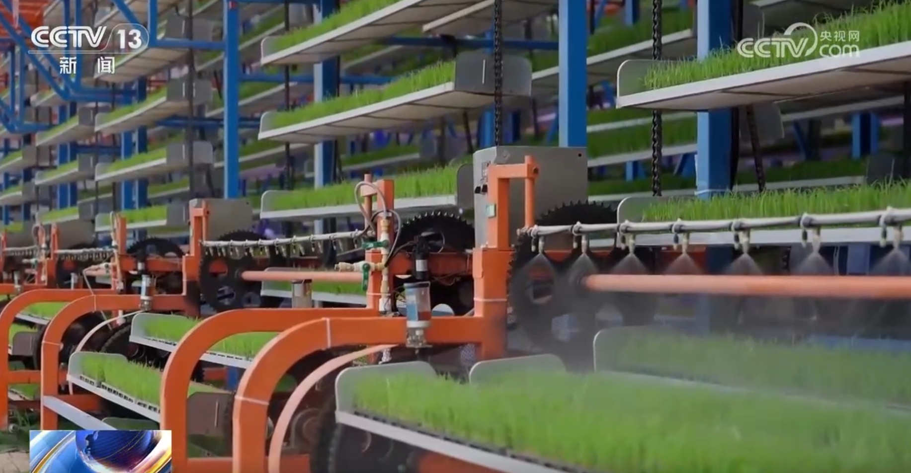 粮食主产区因地制宜探索新“稻”路 广袤田野上绘就好“丰”景