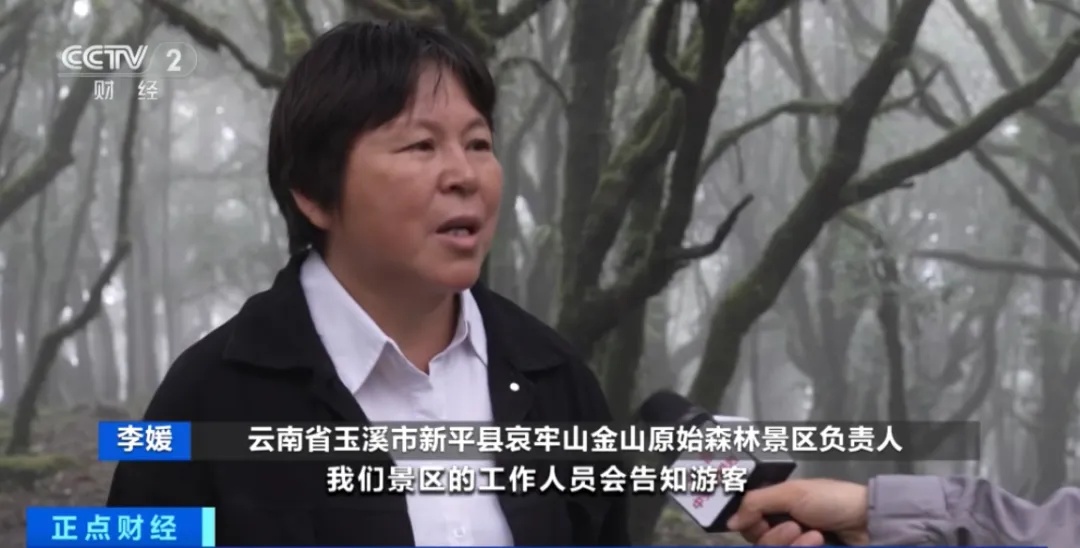记者探访，突遇浓雾！突然爆红的哀牢山，究竟什么样？