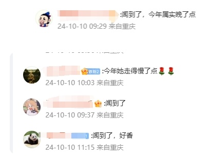 四川下雪了！重庆刚入秋~