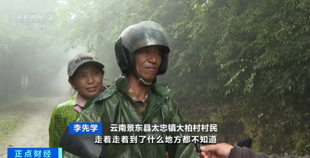 记者探访，突遇浓雾！突然爆红的哀牢山，究竟什么样？