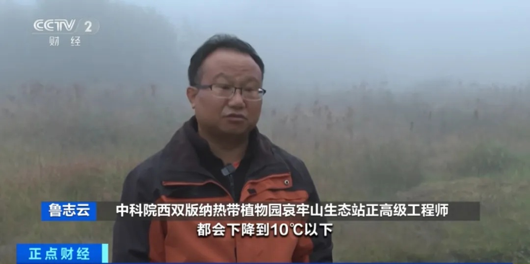 记者探访，突遇浓雾！突然爆红的哀牢山，究竟什么样？