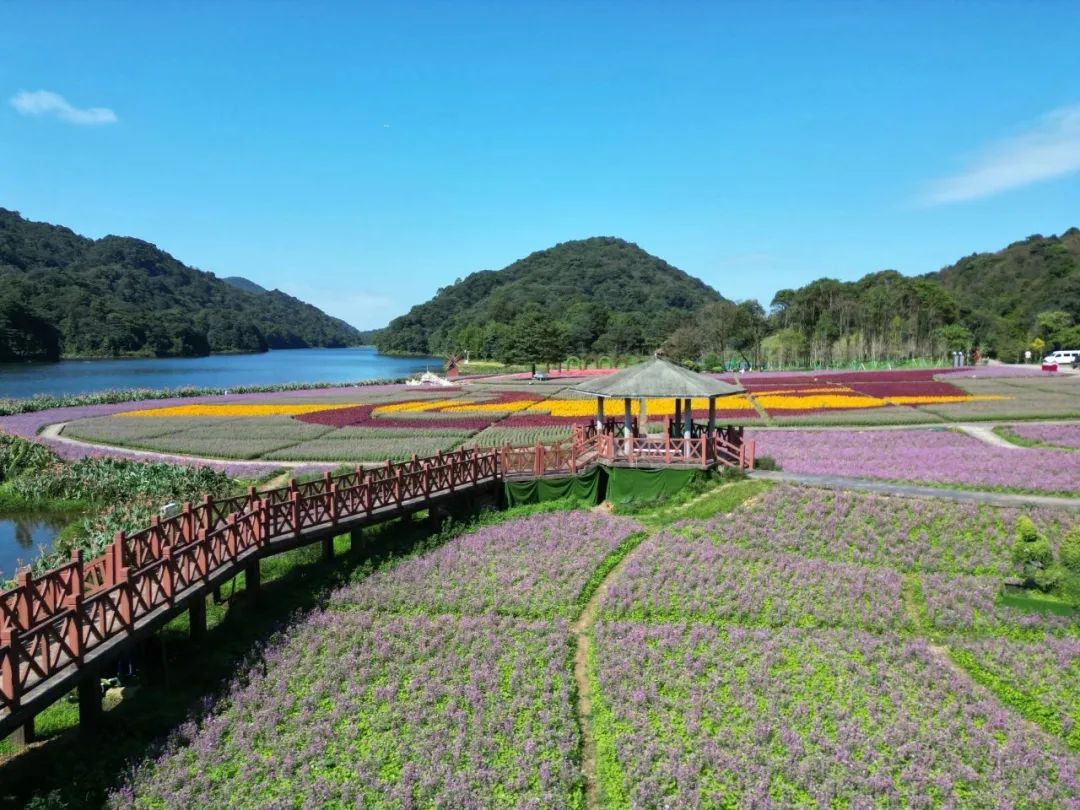 注意！广州这个景点部分区域不开放！