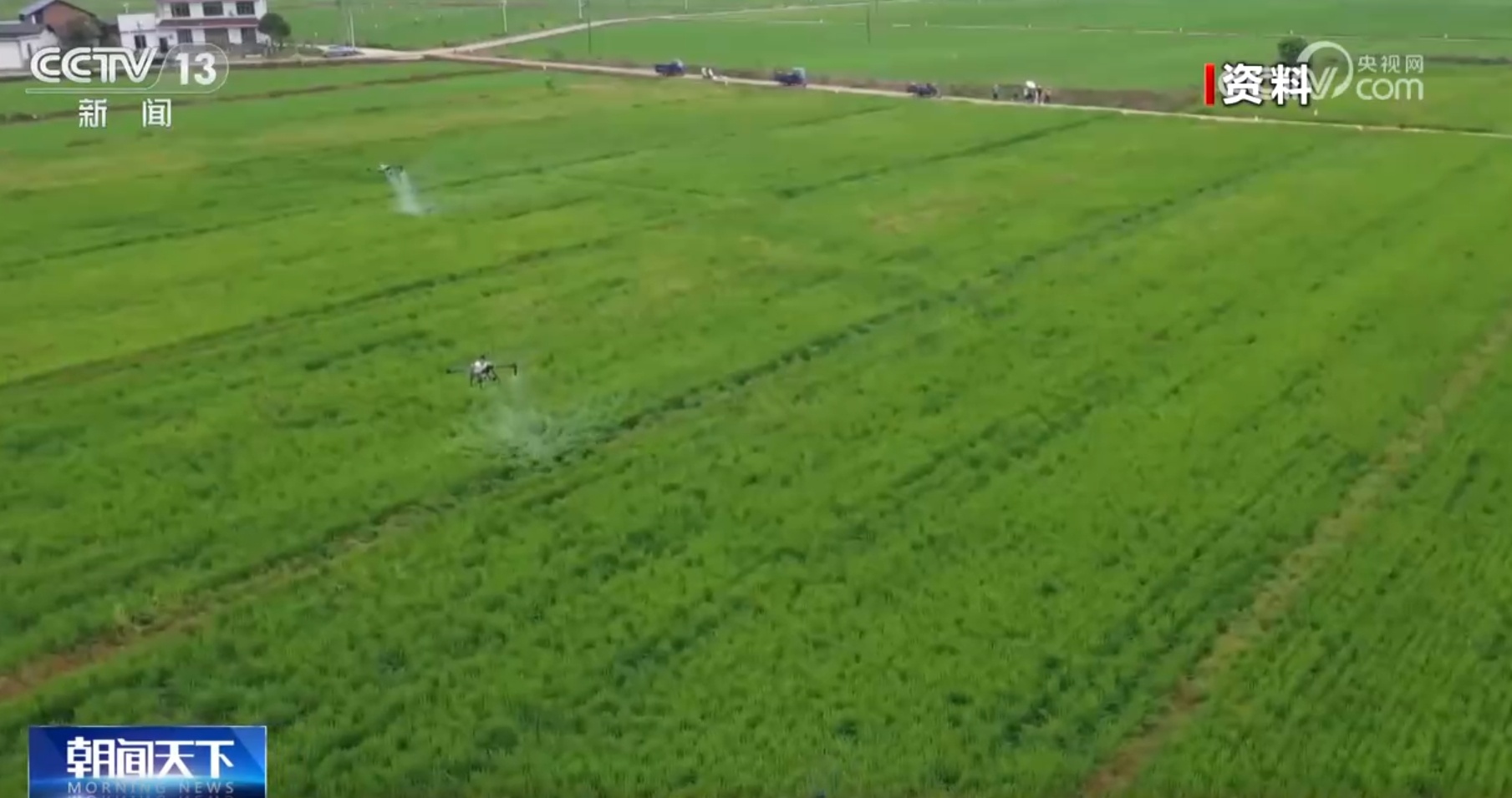 粮食主产区因地制宜探索新“稻”路 广袤田野上绘就好“丰”景