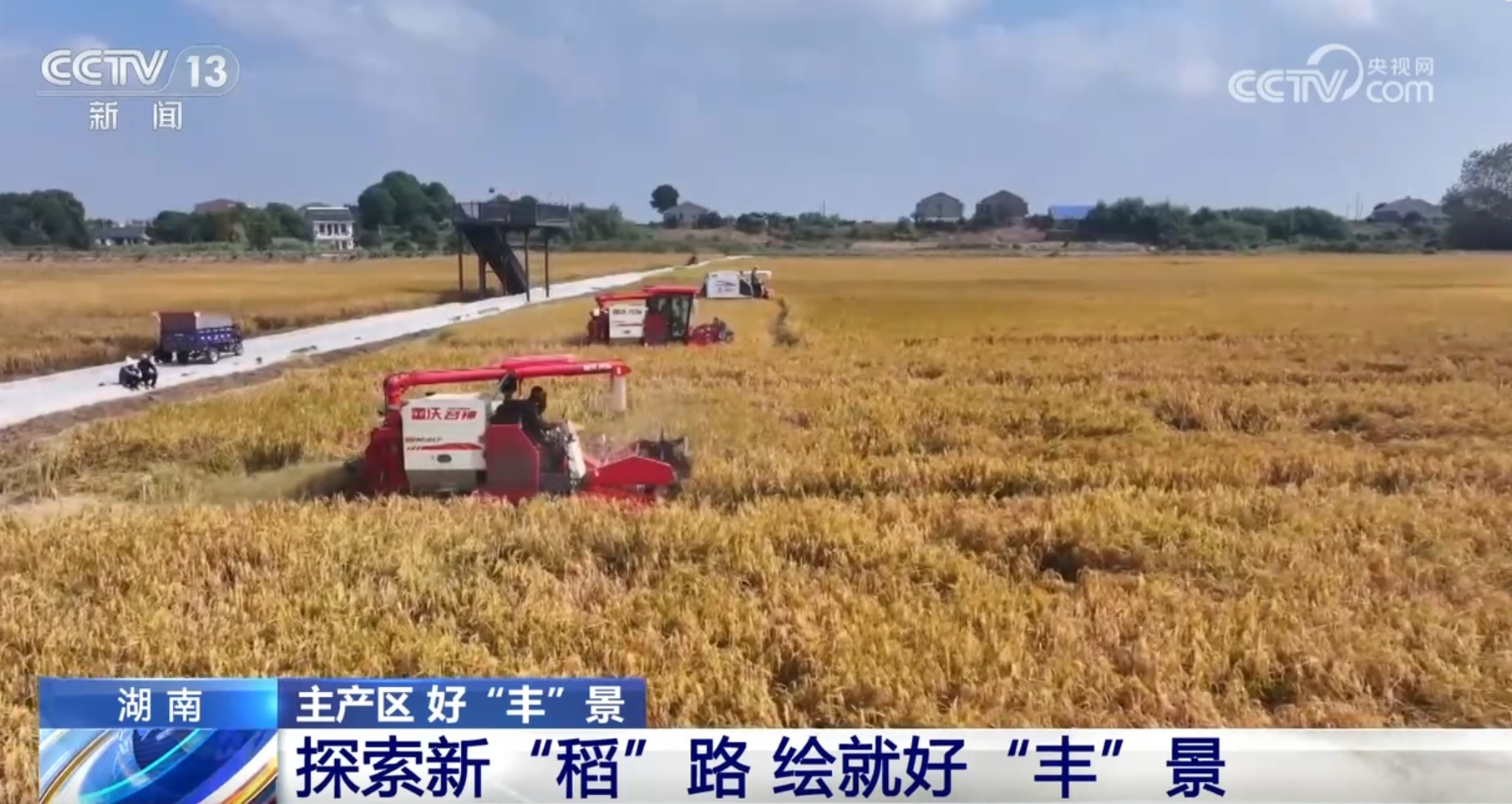 粮食主产区因地制宜探索新“稻”路 广袤田野上绘就好“丰”景