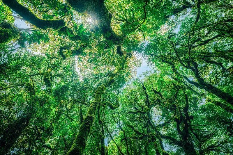 突然“爆红”的哀牢山是什么山?这些登山安全须知请记好! 突然“爆红”的哀牢山是什么山?这些登山安全须知请记好!