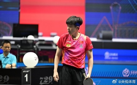 晋级决赛！国乒男团3-1战胜韩国队