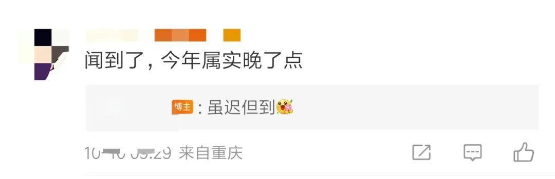 秋天 | 你闻到了吗？