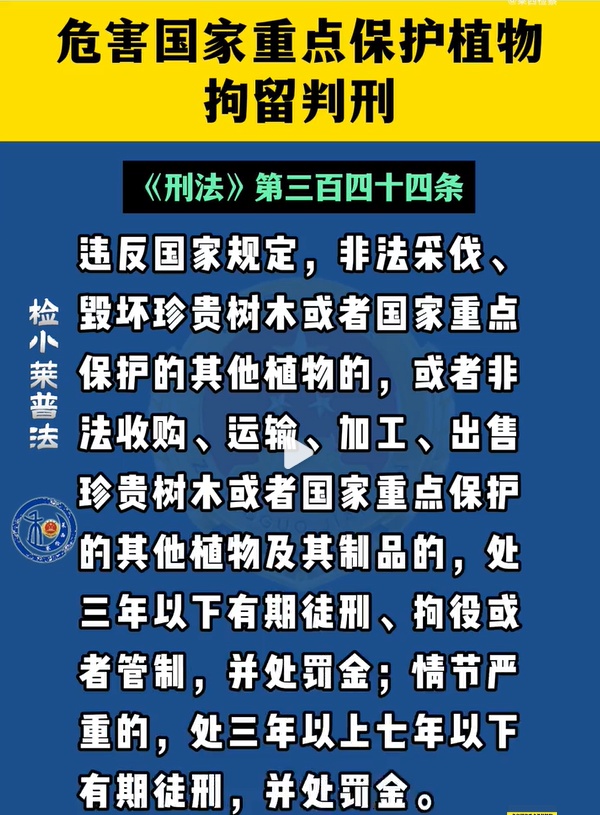 收到50g野生“发菜”，买家报警了！