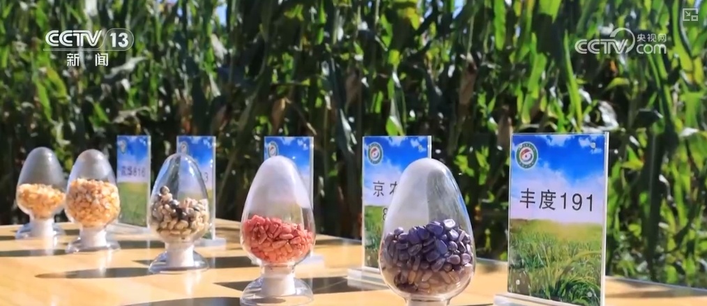 “白”→“绿”→“金”，改良！好“丰”景里科技含量足