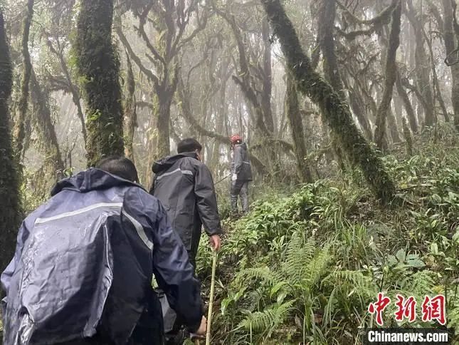 人这一辈子，一定要慎入哀牢山！