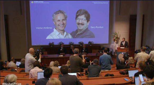 2024年诺贝尔生理学或医学奖揭晓!微小RNA蕴藏基因调控之谜 2024年诺贝尔生理学或医学奖揭晓!微小RNA蕴藏基因调控之谜