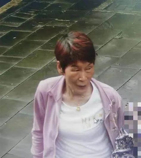 被控拐卖儿童增至17名！余华英卖的第1个孩子是自己儿子！更多细节披露→