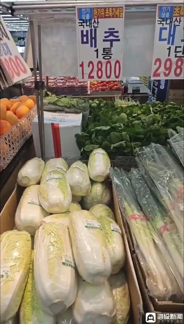 韩国大白菜33元一斤！紧急从中国进口，能解燃眉之急吗？