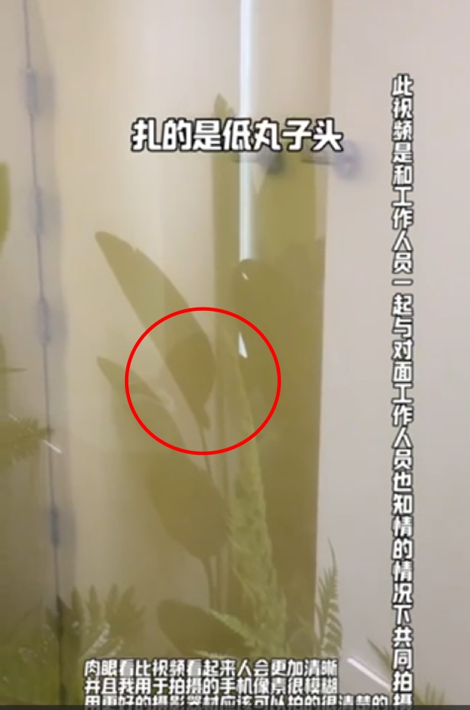 商场女厕隔间玻璃透明,女子吐槽:都是女生也尴尬 商场女厕隔间玻璃透明,女子吐槽:都是女生也尴尬