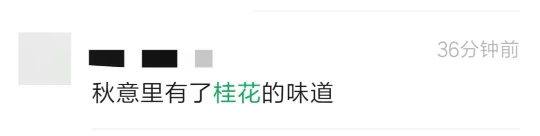 秋天 | 你闻到了吗？