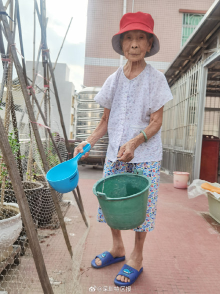 深圳户籍百岁老人241人