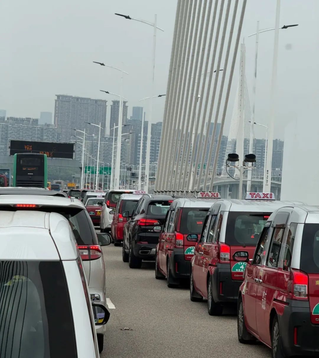 重阳节香港多个口岸迎人潮 重阳节香港多个口岸迎人潮