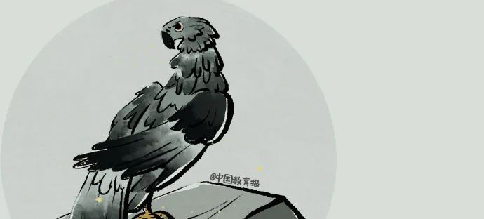 今天，和孩子这样讲重阳节