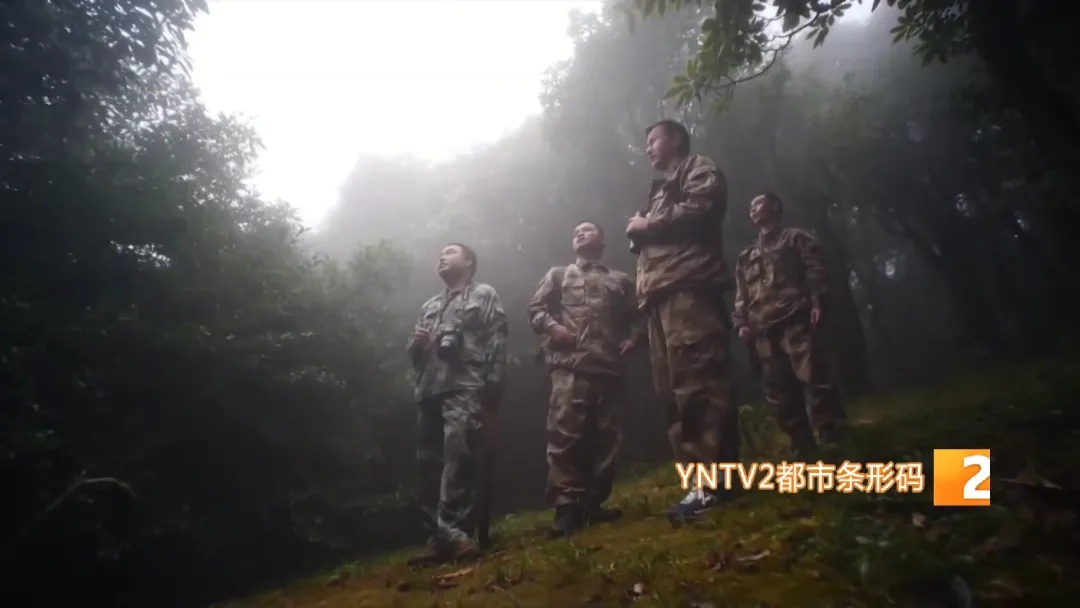 哀牢山,他们用不同方式守护着…… 哀牢山,他们用不同方式守护着……