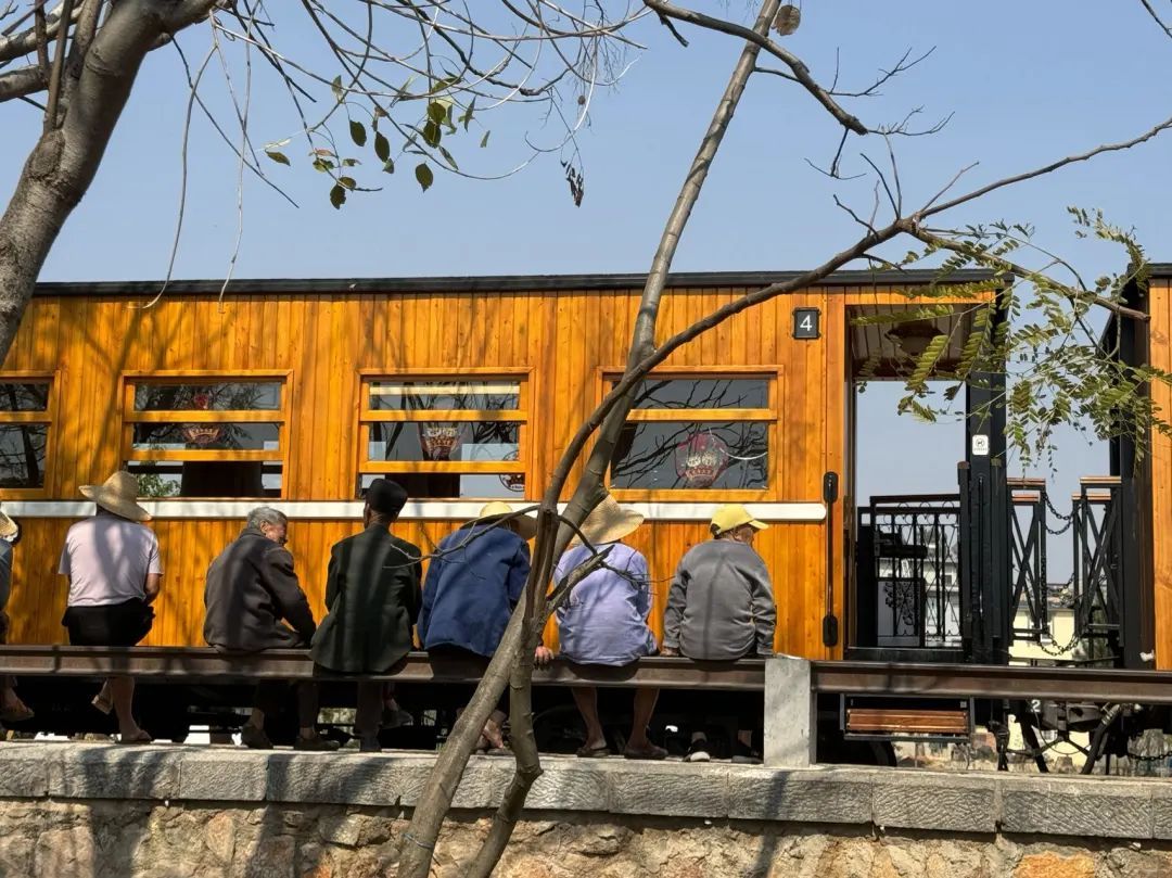 “从没见过!”大学生坐火车返程惊呆了……咱们云南也有🤩 “从没见过!”大学生坐火车返程惊呆了……咱们云南也有🤩