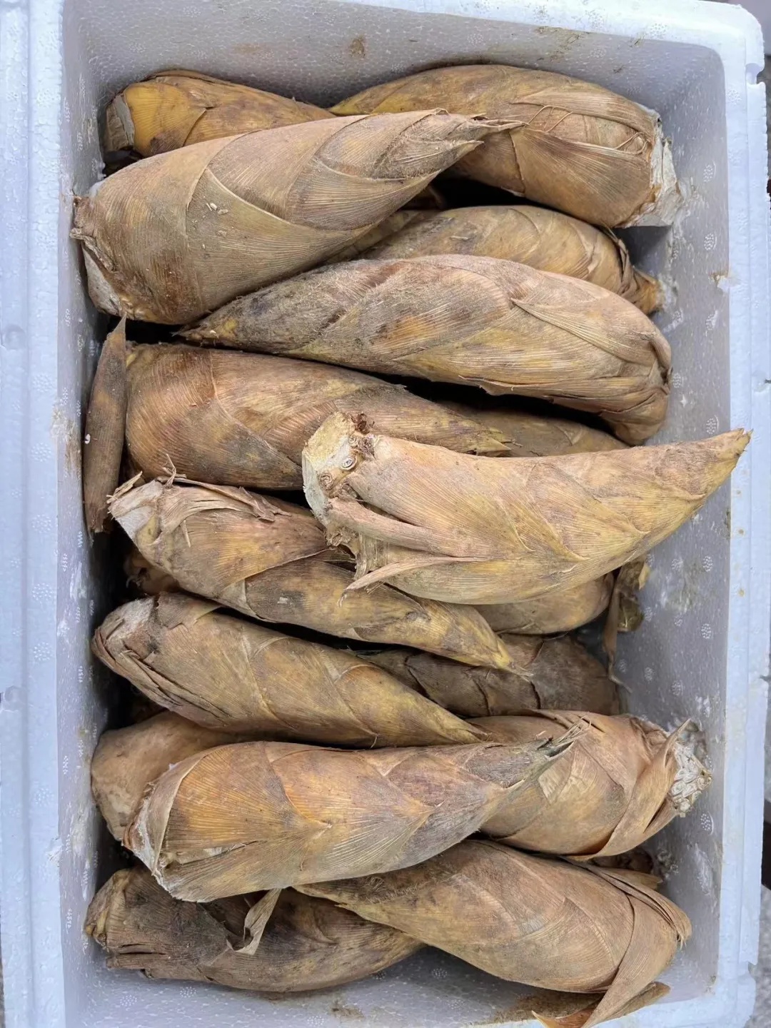 150元/斤！杭州老板高呼：用不起了！即将大量上市，想吃的再等等......