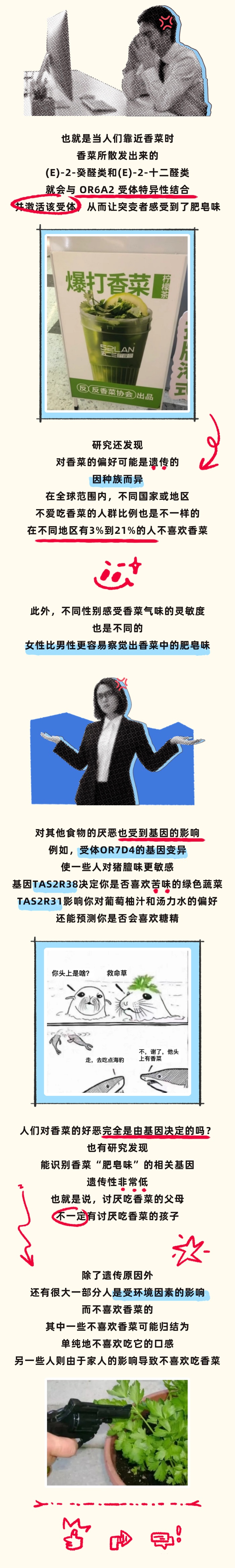 为什么有人那么讨厌香菜？这个世界对不吃香菜的人真的很不友好...