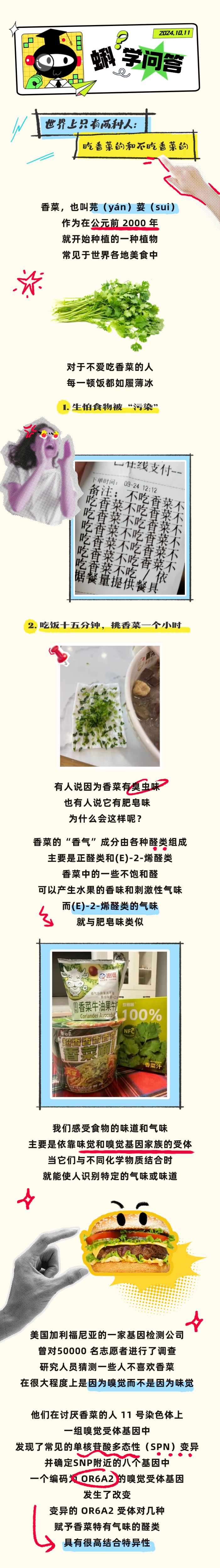 为什么有人那么讨厌香菜？这个世界对不吃香菜的人真的很不友好...