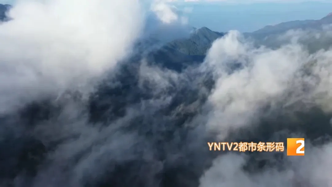 哀牢山,他们用不同方式守护着…… 哀牢山,他们用不同方式守护着……