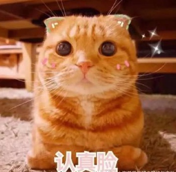 雨雨雨！大降温！洛阳天气要变了...