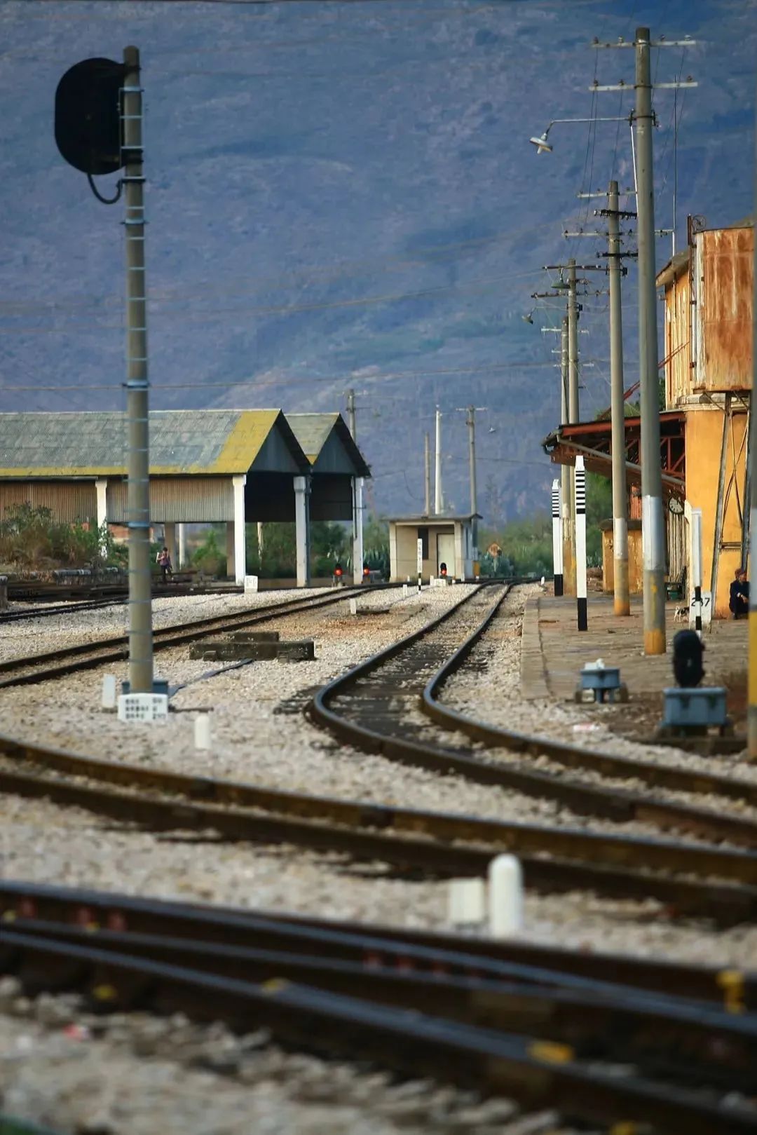 “从没见过!”大学生坐火车返程惊呆了……咱们云南也有🤩 “从没见过!”大学生坐火车返程惊呆了……咱们云南也有🤩