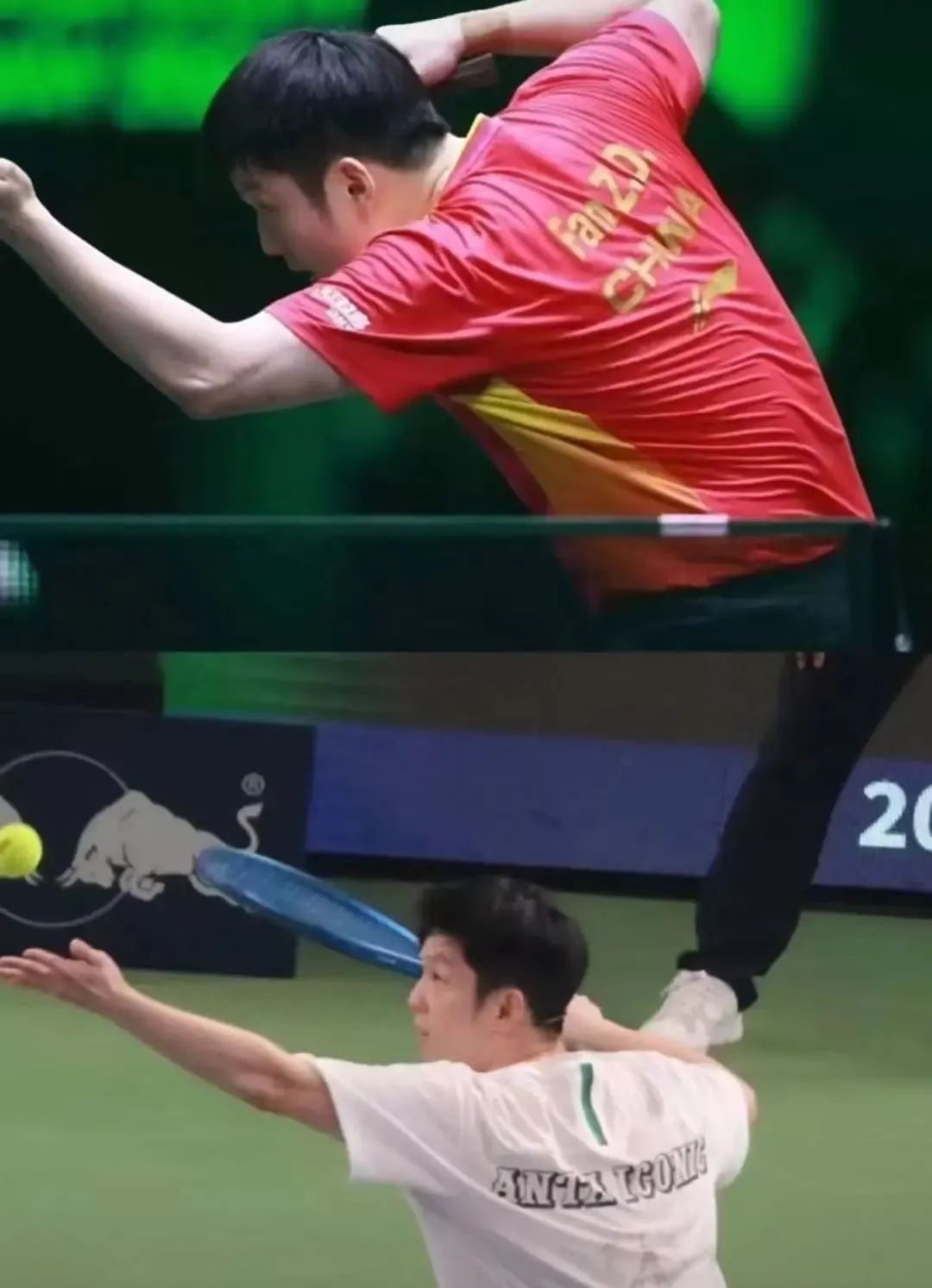 吹球！秒趴！樊振东网球首秀“乒里乓气”：输给费德勒不丢人！网友笑翻