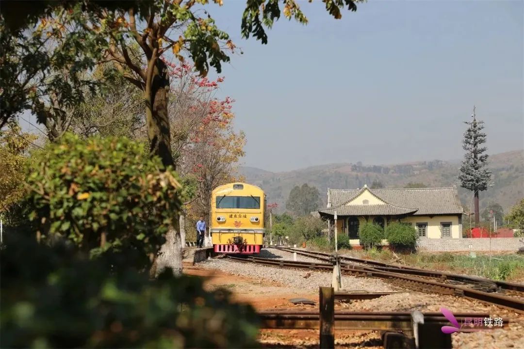 “从没见过!”大学生坐火车返程惊呆了……咱们云南也有🤩 “从没见过!”大学生坐火车返程惊呆了……咱们云南也有🤩