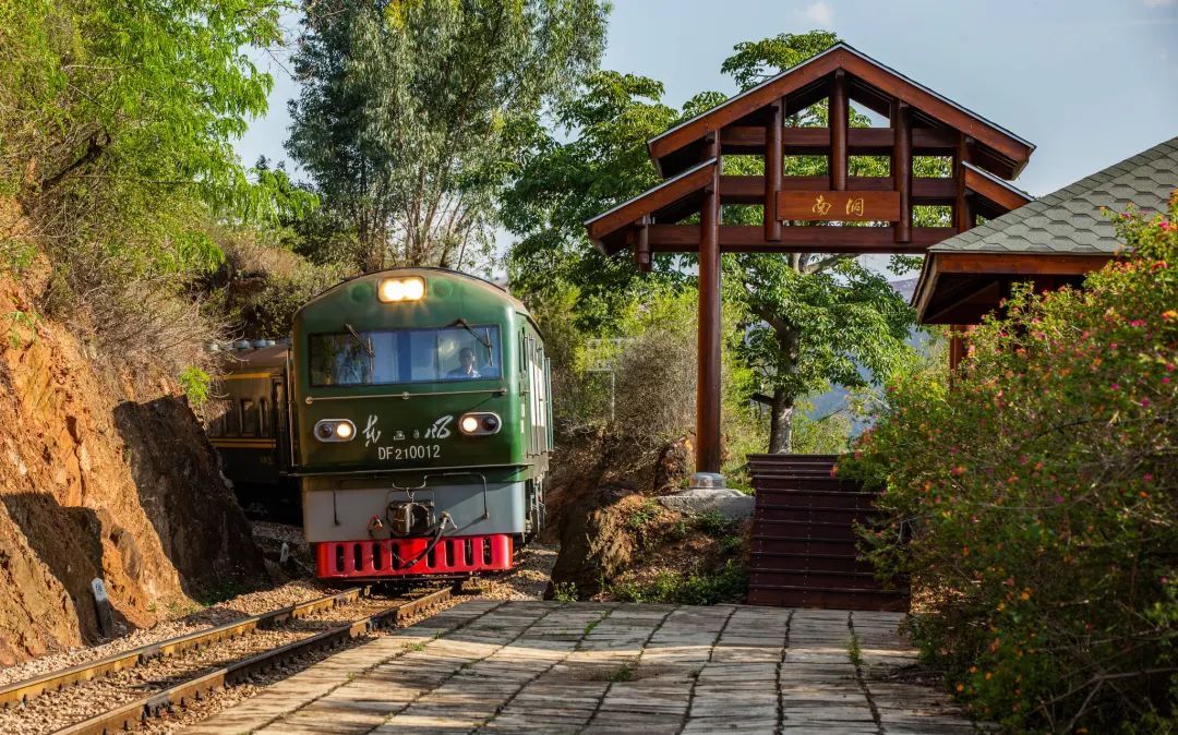 “从没见过!”大学生坐火车返程惊呆了……咱们云南也有🤩 “从没见过!”大学生坐火车返程惊呆了……咱们云南也有🤩