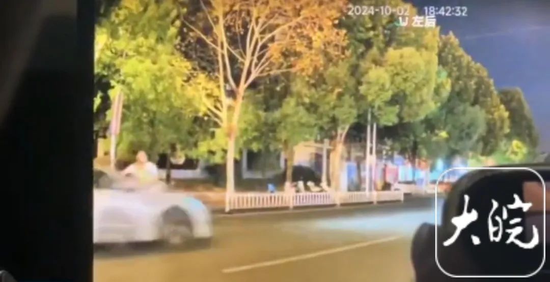 警方通报“一家三口被撞身亡”：司机被刑拘！