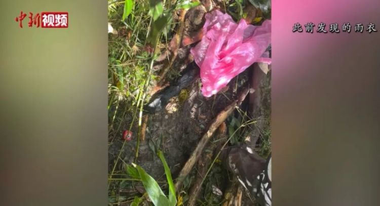 擅闯哀牢山？比毒蛇、猛兽更可怕的是……