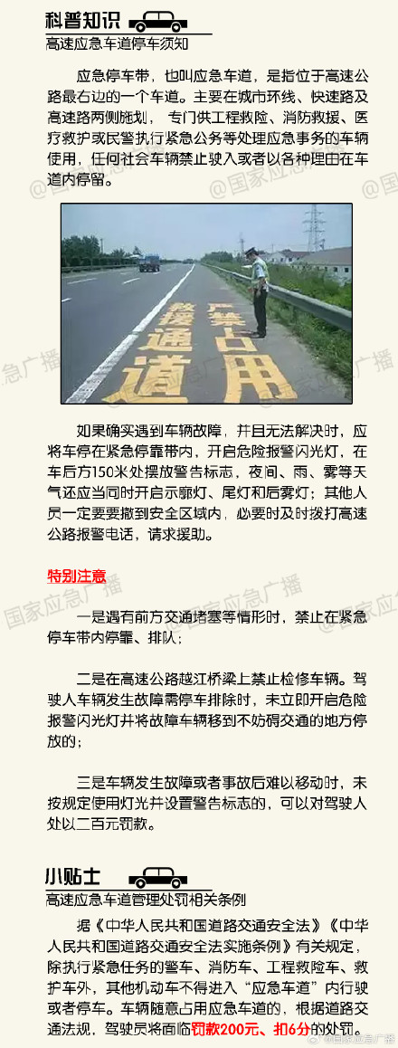 男子高速上停车炒股