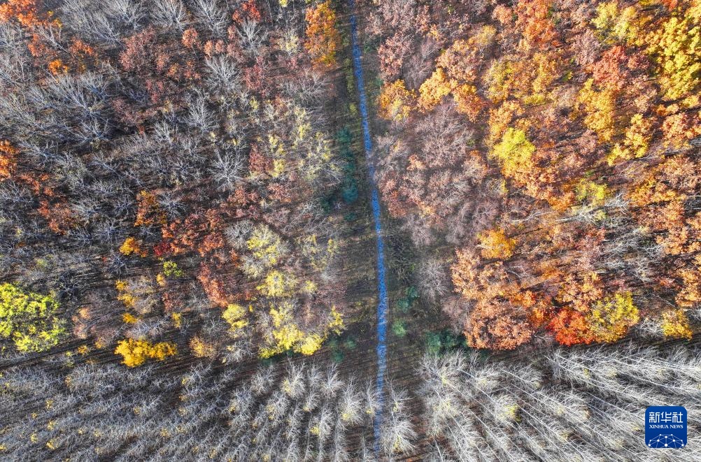 黑龙江同江：“三江口”秋景引人入胜