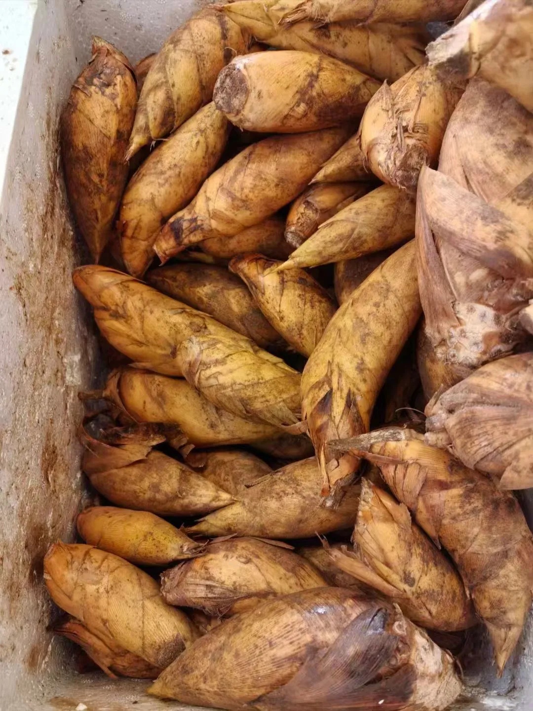 150元/斤！杭州老板高呼：用不起了！即将大量上市，想吃的再等等......