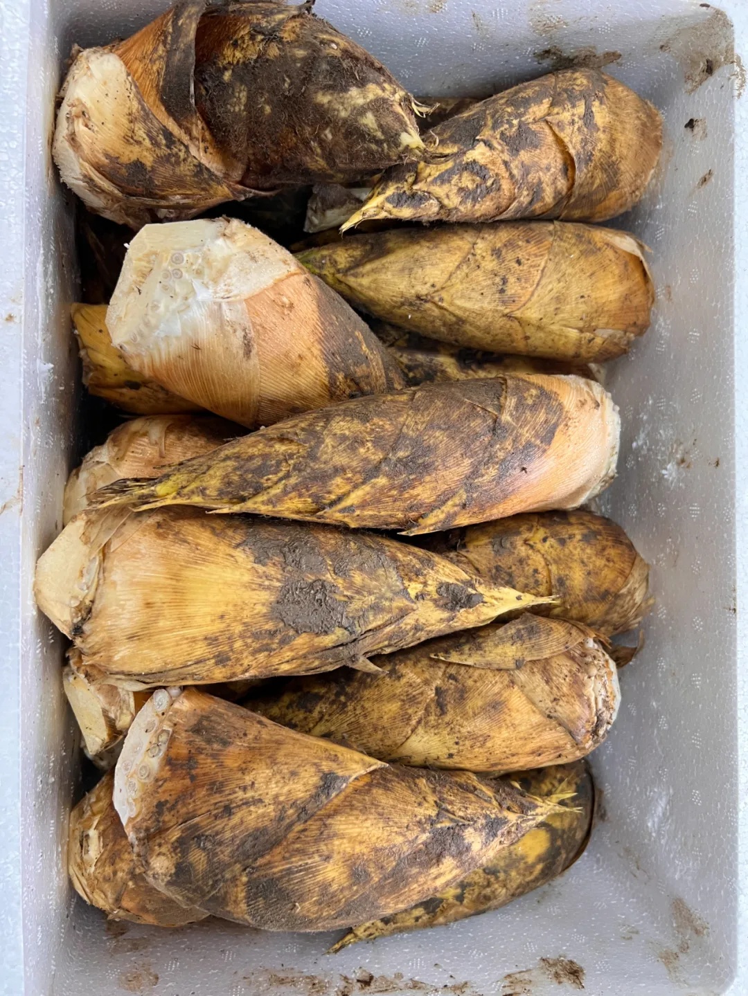 150元/斤！杭州老板高呼：用不起了！即将大量上市，想吃的再等等......