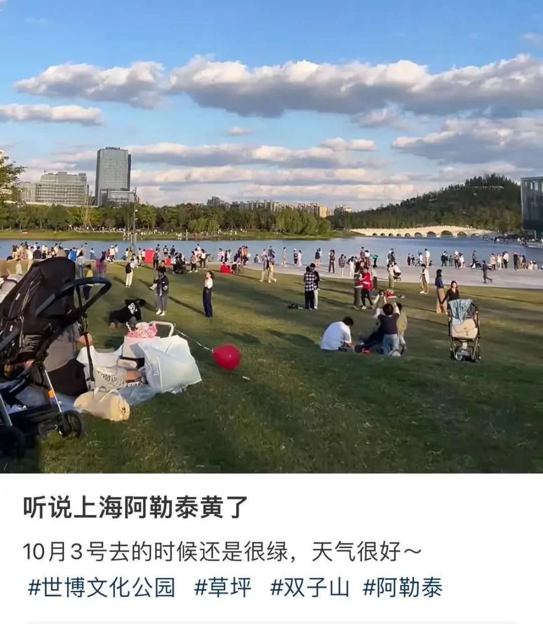 又一场秋雨即将登场，新一股冷空气已在路上！上海网红草坪一夜之间变黄？官方回应