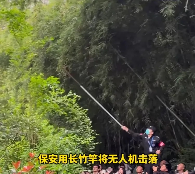 当场抓获!张某某(男,19岁)终身禁入! 当场抓获!张某某(男,19岁)终身禁入!