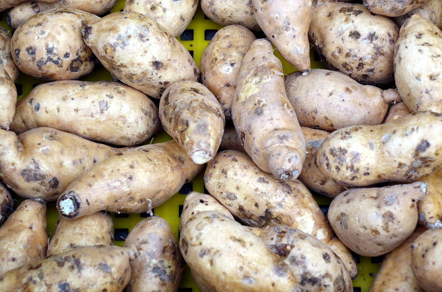 长黑斑的红薯有毒?变质?还能吃吗? 长黑斑的红薯有毒?变质?还能吃吗?